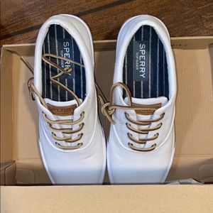 Men’s sperry shoes